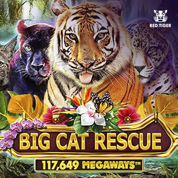 Big Cat Rescue Megaways - TURBOBET168