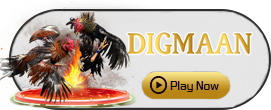Digman - TURBOBET168